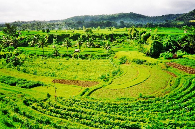 <em>Subak</em> (Subdistrito de Bali, Indonesia)