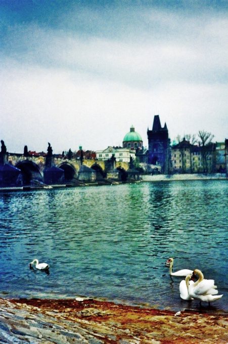 Praga_10