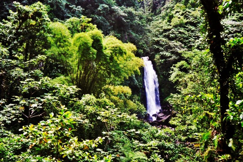 Trafalgar Falls (Parroquia de Saint George, Dominica)