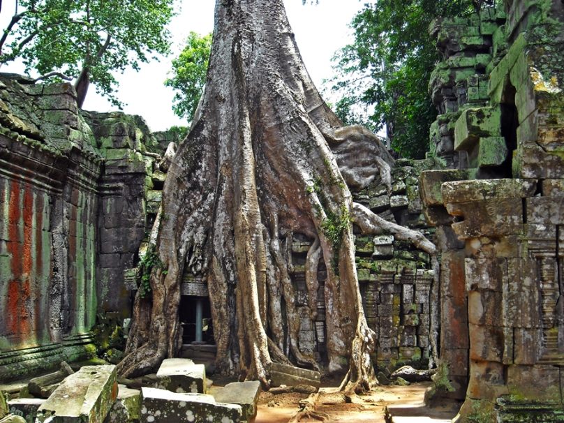 TaProhm_17