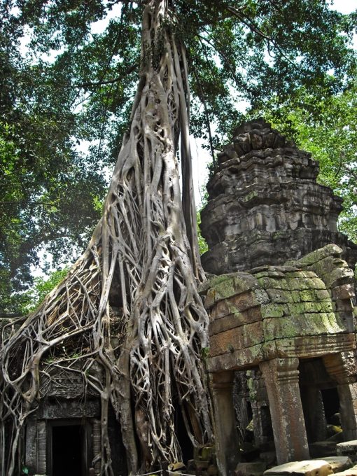 TaProhm_21