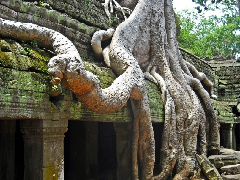 TaProhm_27