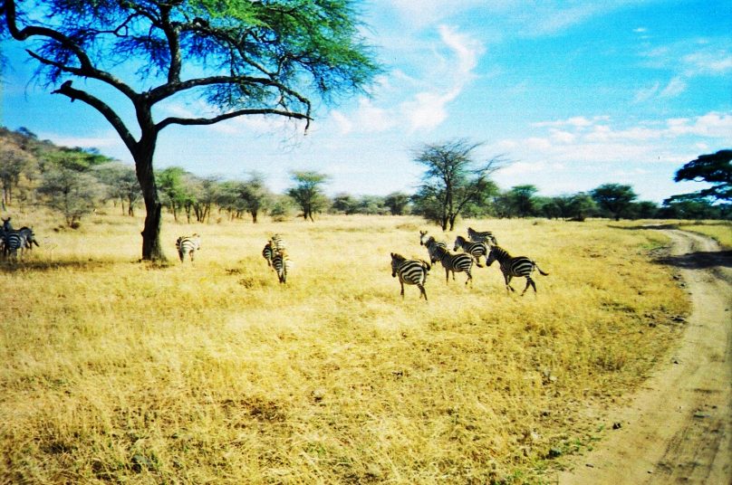 Reservas de la Biosfera en África