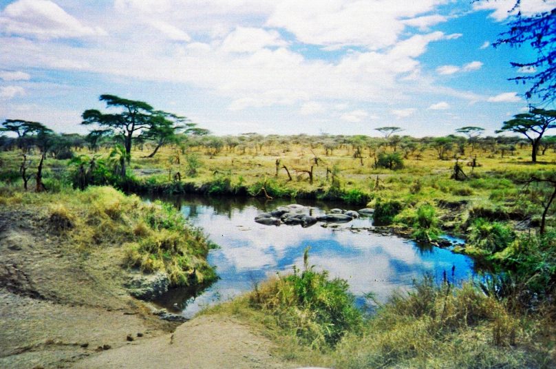 Serengeti_18