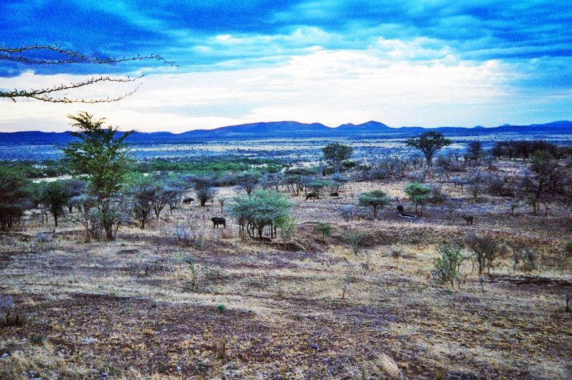 Serengeti (Región de Simiyu, Tanzania)