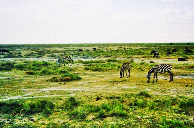 Amboseli (Condado de Kajiado, Kenia)