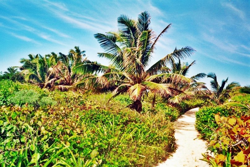 Isla Contoy (Estado de Quintana Roo, México)