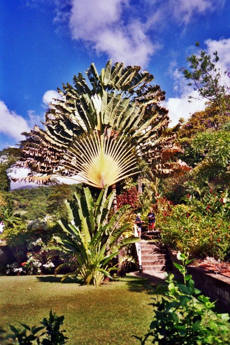 Romney Manor (Parroquia de Saint Thomas Middle Island, Saint Kitts y Nevis)