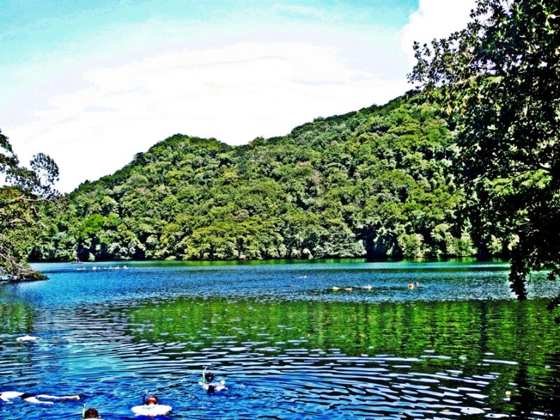 El lago de las medusas