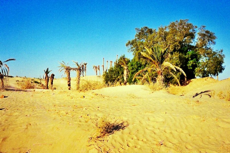 Fin de año en el desierto