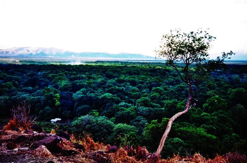 Manyara_02