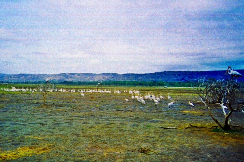 Manyara_15