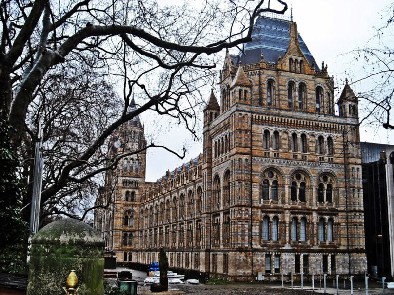 Museo de Historia Natural (Londres, Reino Unido)