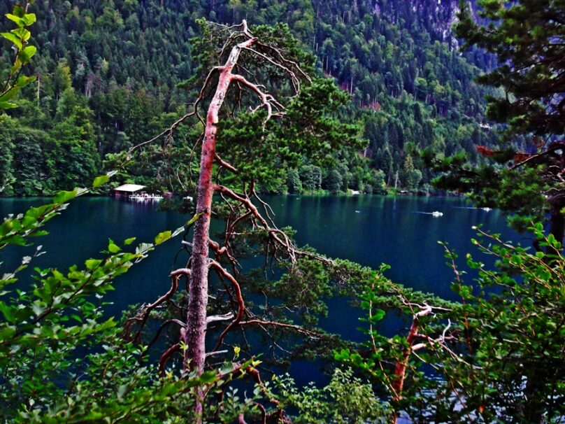 Alpsee_03