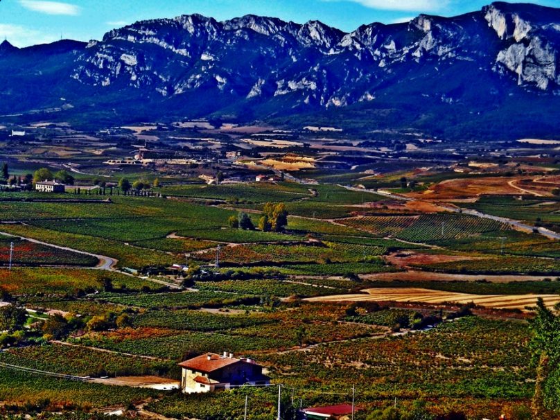 Viñedos de La Rioja y Rioja Alavesa