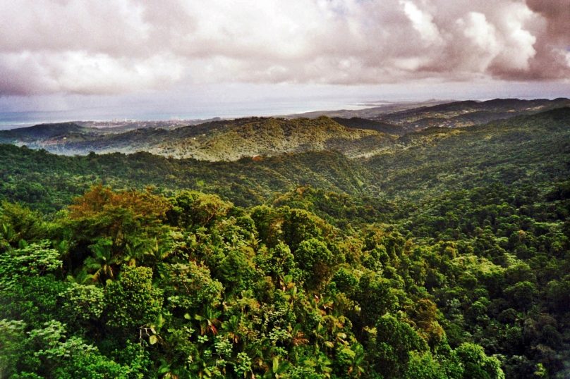 El Yunque (Puerto Rico)