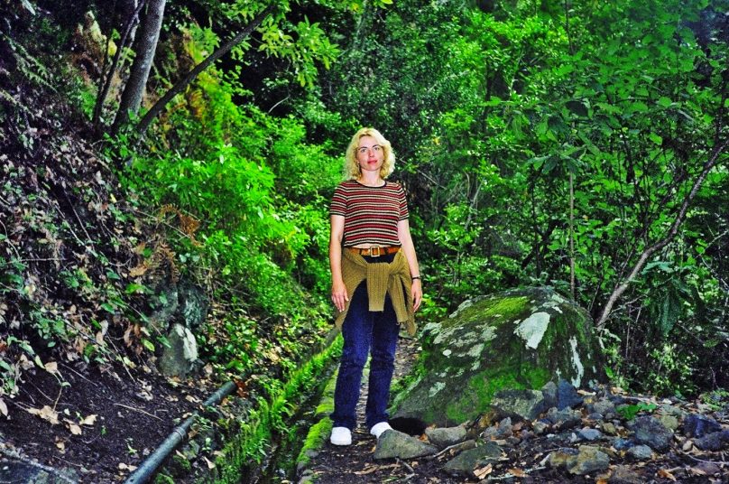 Bosque de Los Tilos (Municipio de San Andrés y Sauces, Canarias)