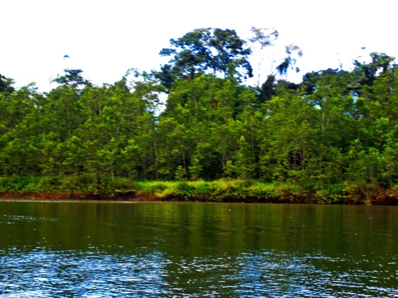 El rey del río