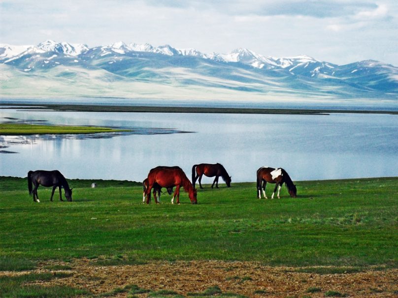 Lago Son-Kul (Región de Naryn, Kirguistán)