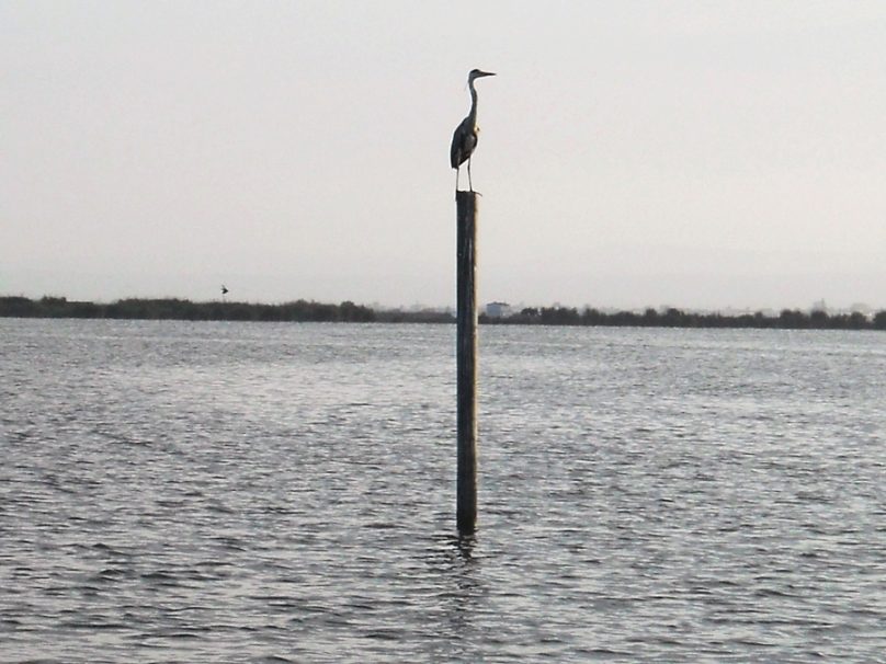 LaAlbufera_14