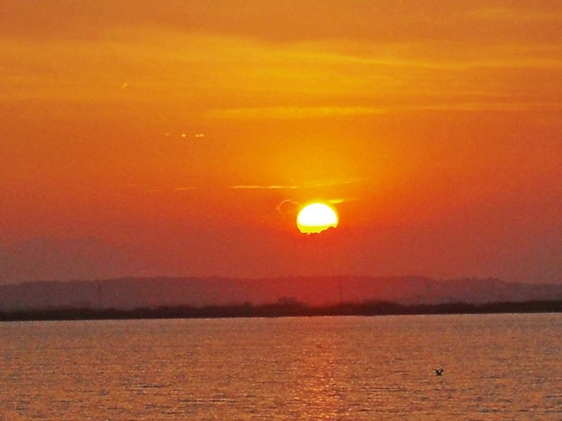 La Albufera (Comunidad Valenciana)