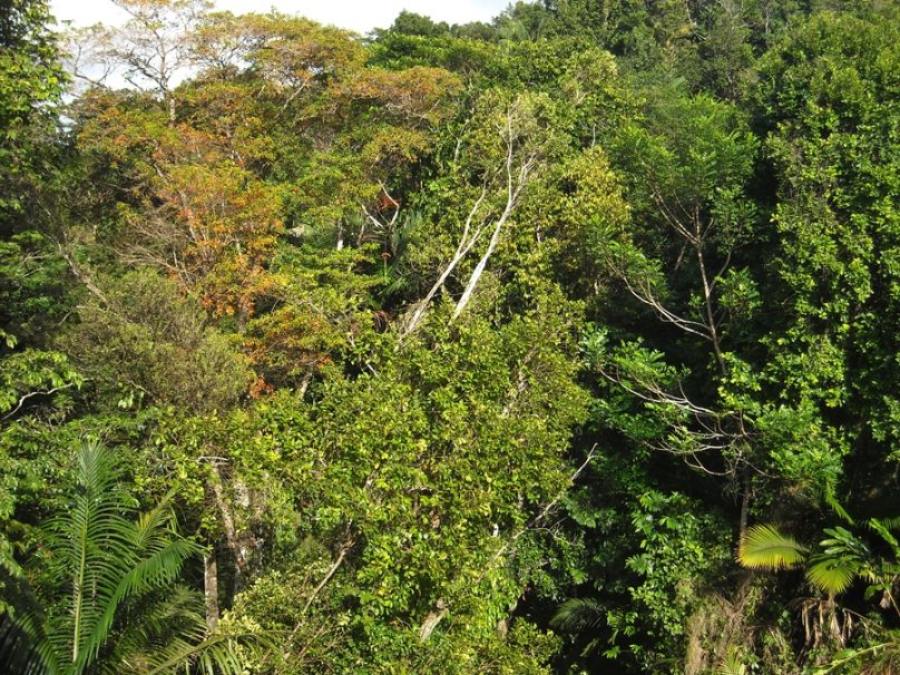Tobago_79
