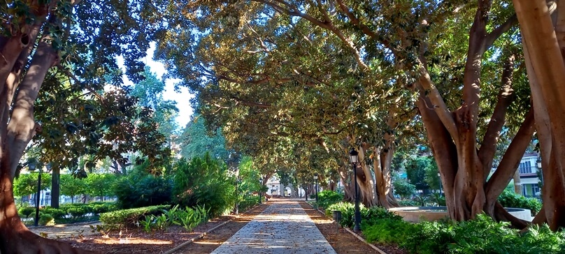 JardindeFloridablancaMurcia_17