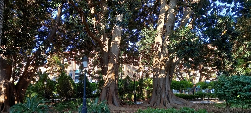 JardindeFloridablancaMurcia_21