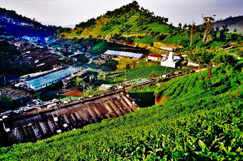 NuwaraEliya_01