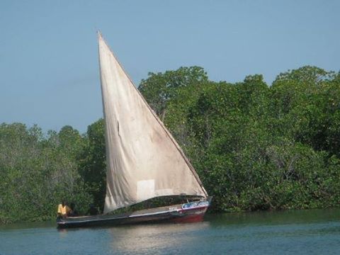 Lamu (por Jorge Sánchez)