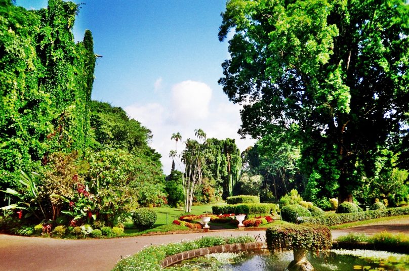 Peradeniya_01