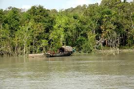 SundarbansJorge_03