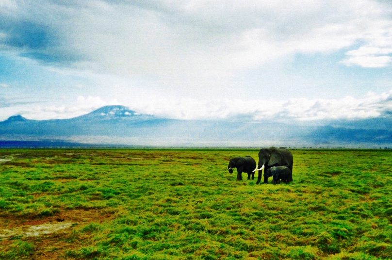 Amboseli_16