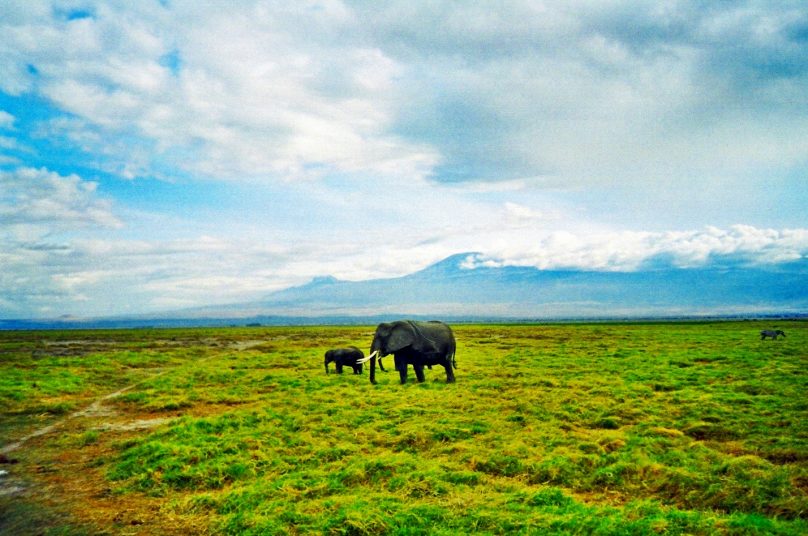 Amboseli_17