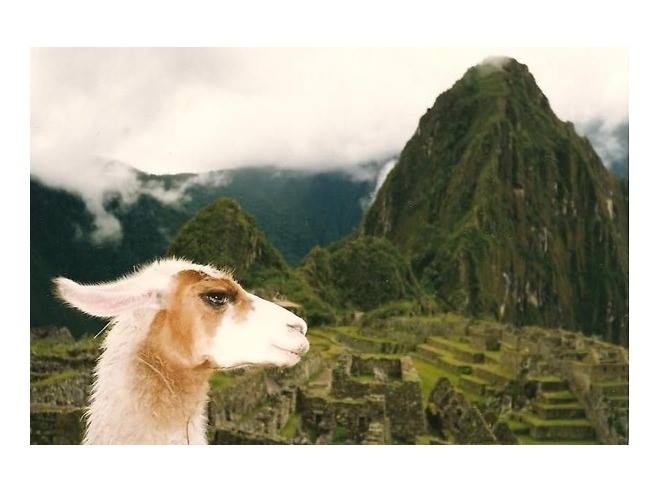 Machu Picchu (por Jorge Sánchez)