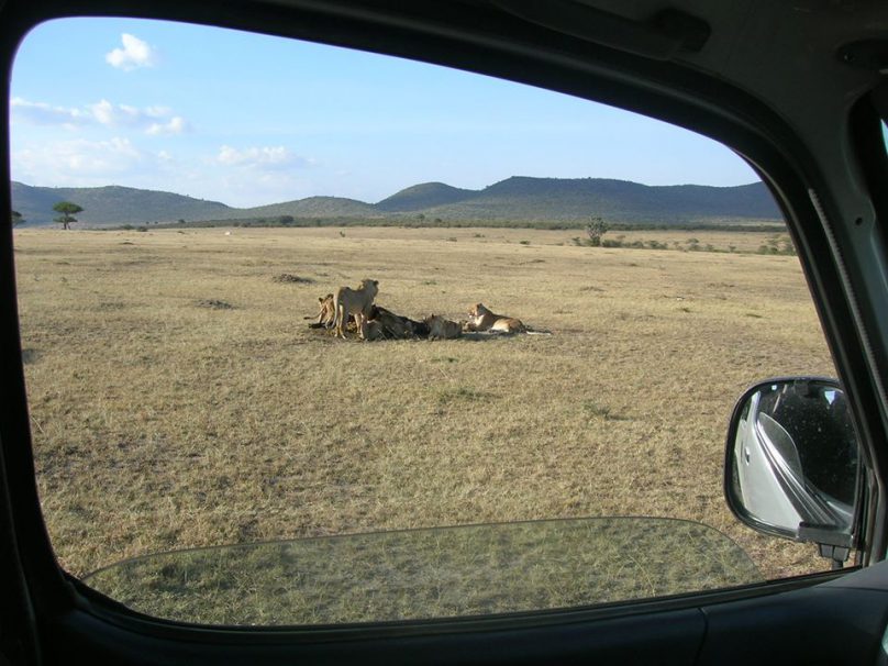 Masai Mara (por Jorge Sánchez)