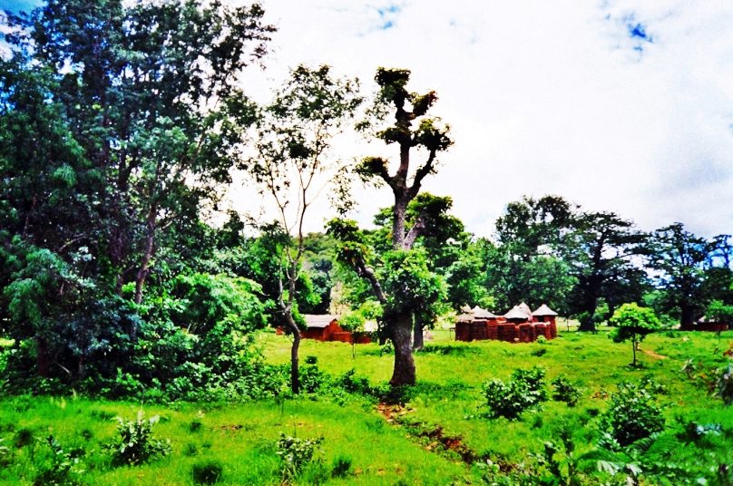 TataSomba_07