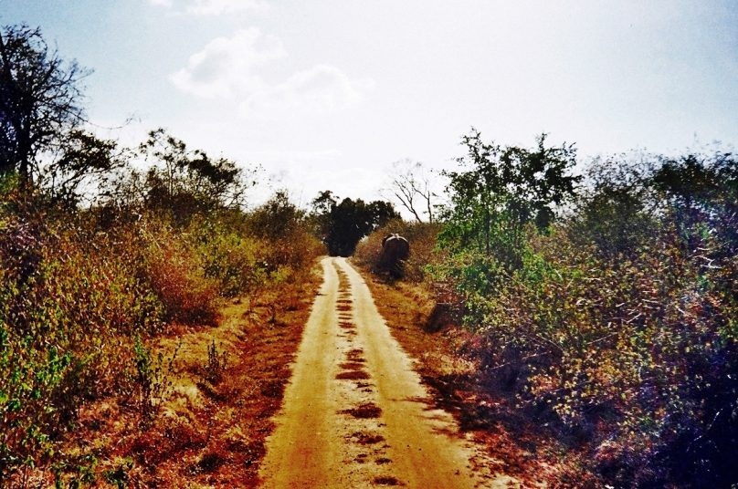 Uda Walawe (Distrito de Ratnapura, Sri Lanka)