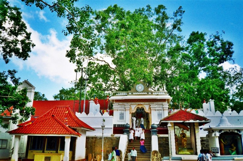 Sri Maha Bodhi (Distrito de Anuradhapura, Sri Lanka)