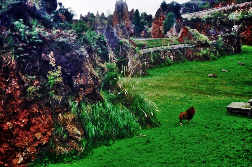 <em>Karst</em> de Cabárceno (Municipio de Penagos, Cantabria)