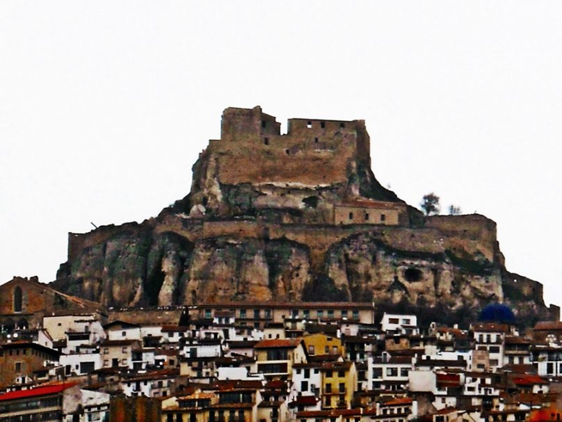 Morella_03