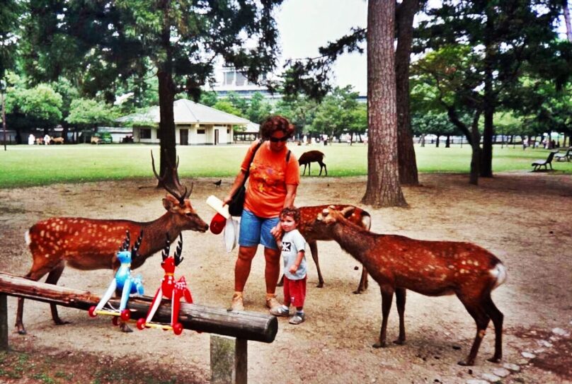 Nara_05