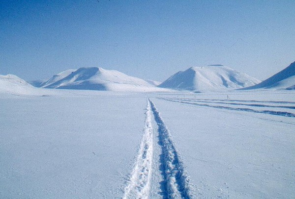 Svalbard (por Jorge Sánchez)