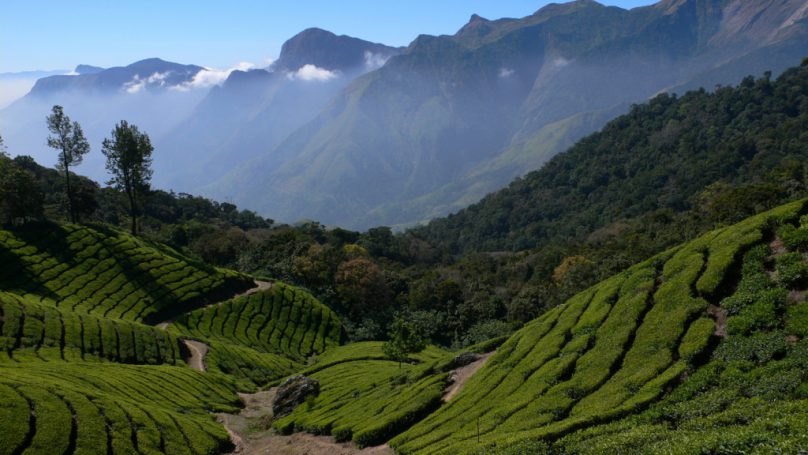 Ghats occidentales (por Jorge Sánchez)