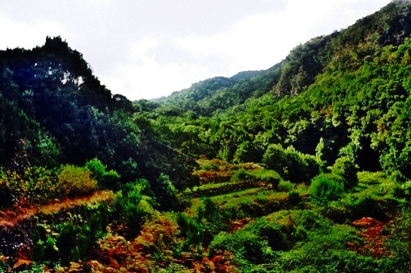 La Gomera (Canarias)