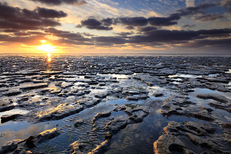 Mar de Wadden (por Jorge Sánchez)