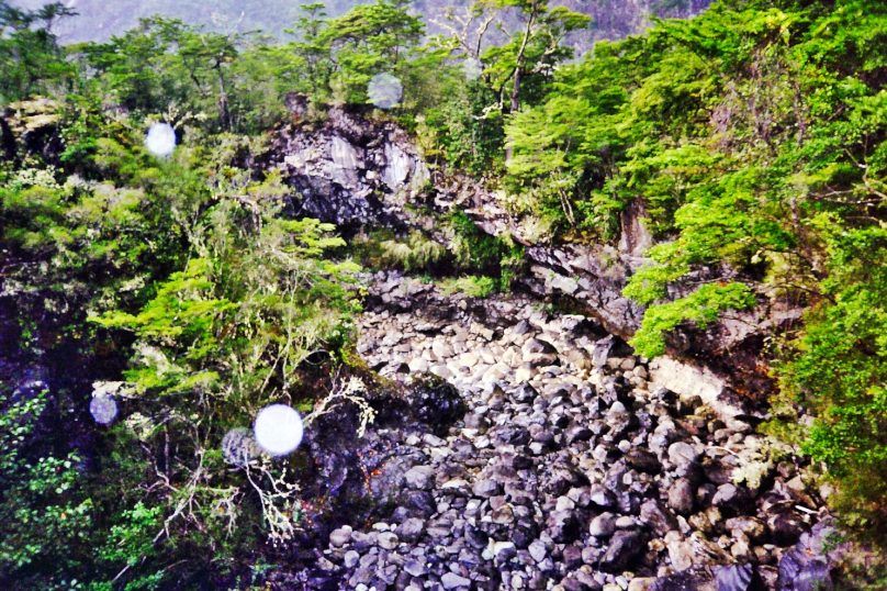 Bosques Templados Lluviosos de los Andes Australes (Chile)