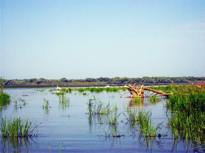 12 Reservas de la Biosfera que para nada esperas