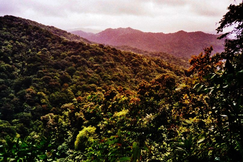 Morne Trois Pitons (Dominica)