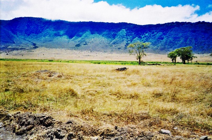 Ngorongoro_14